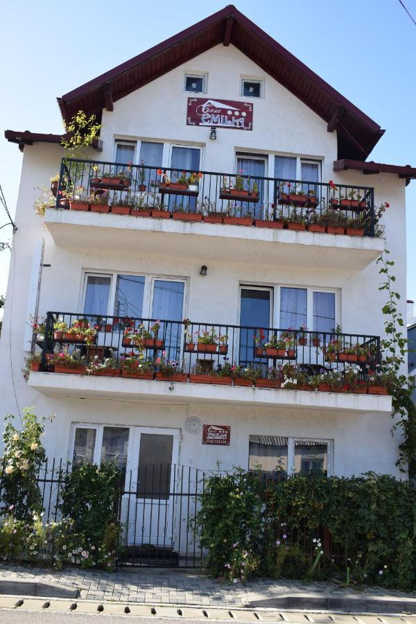 Casa Emilia Hotel Dornavátra Kültér fotó