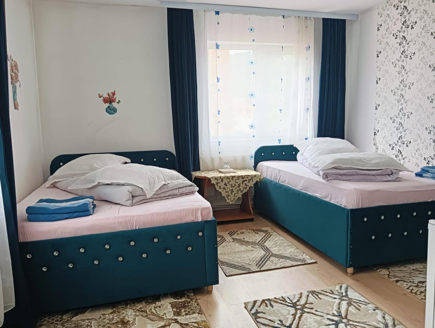 Casa Emilia Hotel Dornavátra Kültér fotó