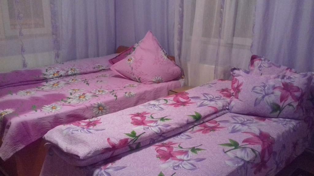 Casa Emilia Hotel Dornavátra Kültér fotó